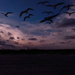 Meet your Posher, Brooklynn